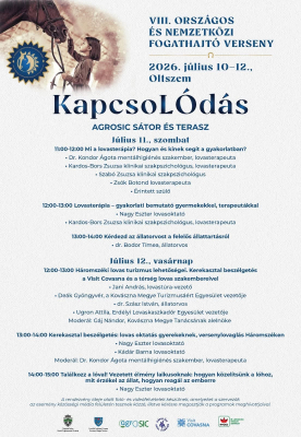 Kapcsolódás